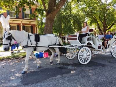 Horse Drawn Carriages
