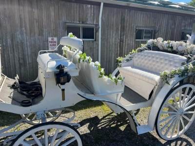 Horse Drawn Carriages