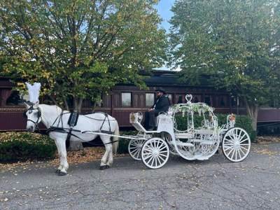 Horse Drawn Carriages