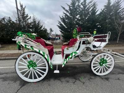 Horse Drawn Carriages