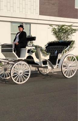 Horse Drawn Carriages