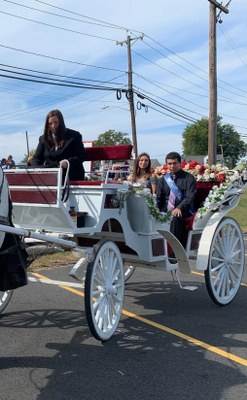Horse Drawn Carriages